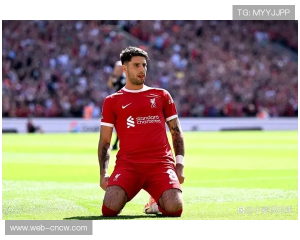 利物浦火速推进与赫拉芬贝赫、索博斯洛伊续约谈判 利物浦火速推进与赫拉芬贝赫、索博斯洛伊续约谈判